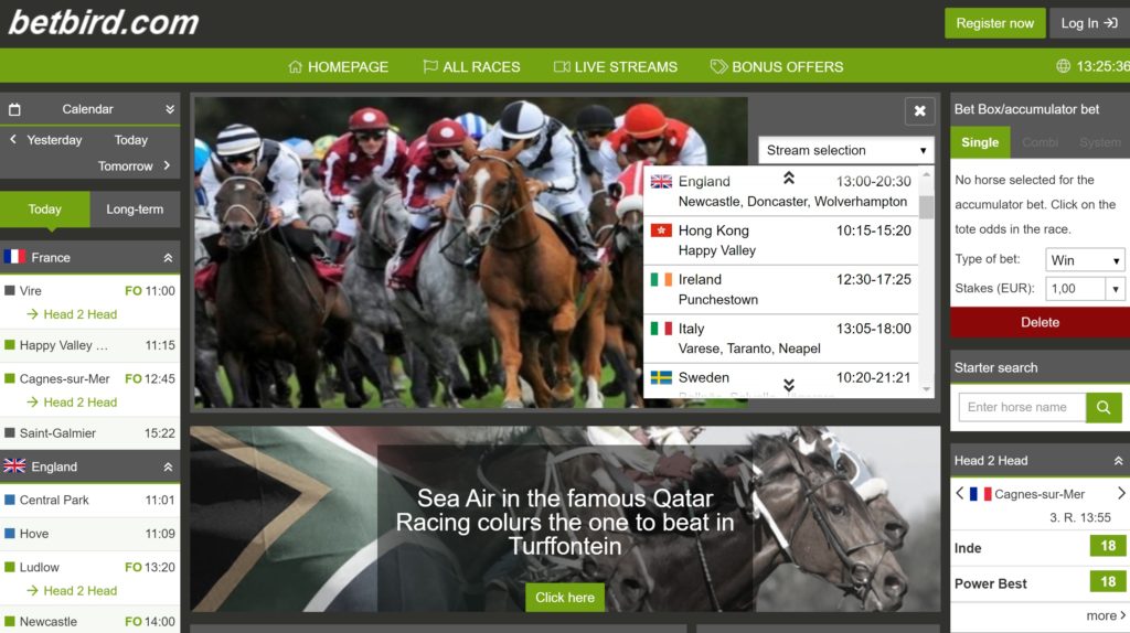 BETBIRD